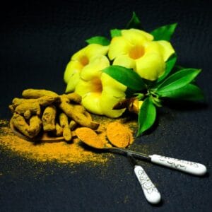 Masterclass: < Sanando desde el interior con Ayurveda >