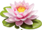 loto